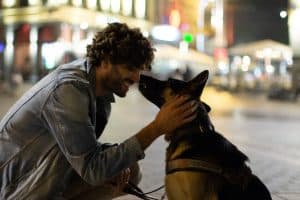 Arthur et Loya sont "nez à truffe" au milieu d'une grande place la nuit. Ils se regardent d'un air complice.