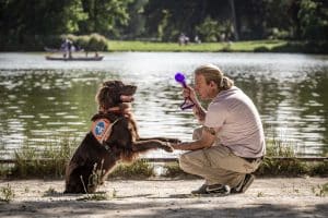 Olivier et Orient sont assis face à face, Olivier tient un jouet dans sa main droite et la patte d'Orient dans la main gauche. Orient est très attentif