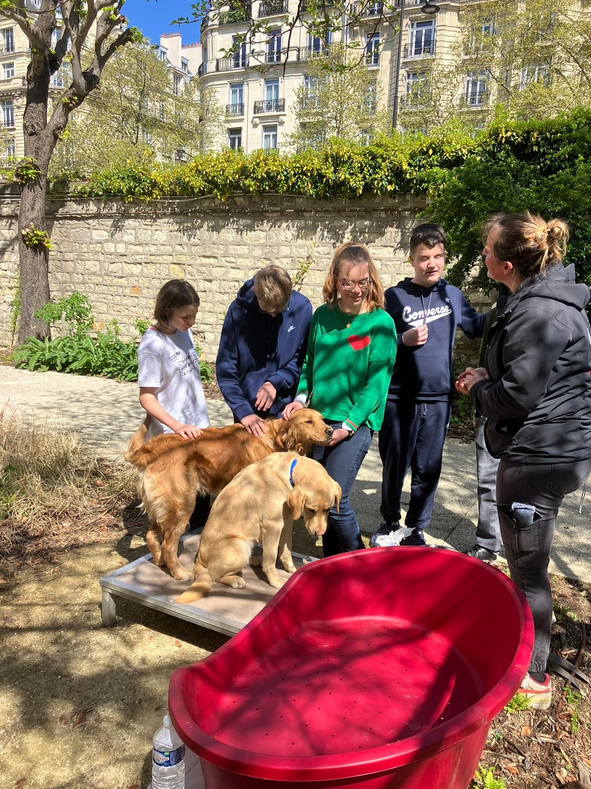 séance de papouille pour les élèves chiens guides et les jeunes de l'INJA