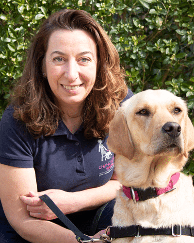 Blanche est assise devant l'objectif. Roma, labrador sable est assise à côté d'elle
