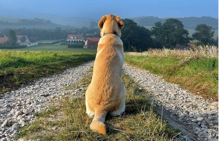 Rodin est assis de dos sur un chemin
