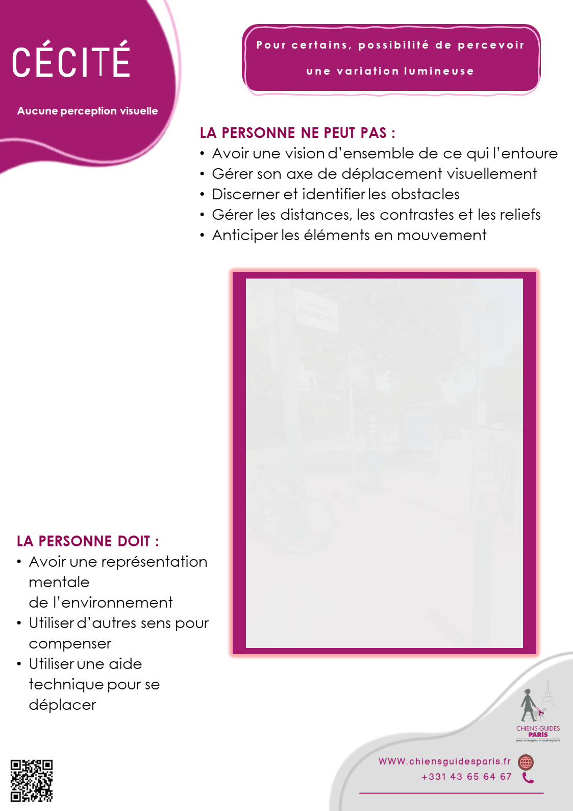 Description de la cécité