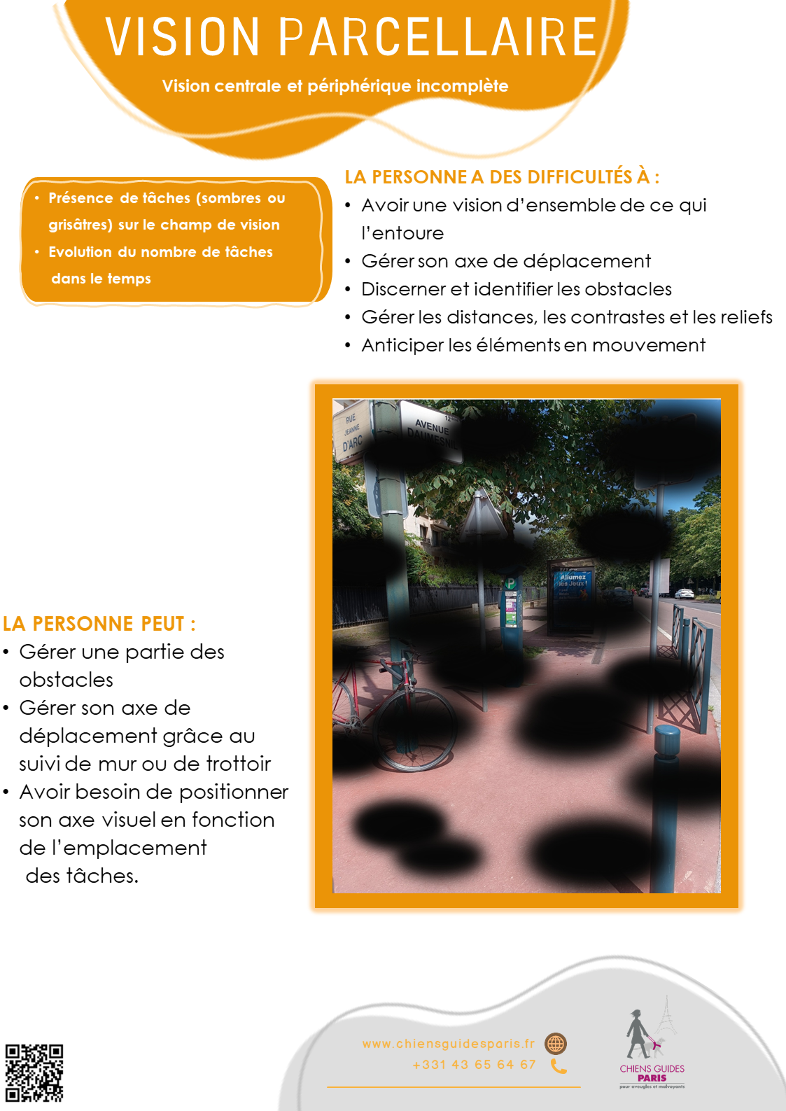 Description de la vision parcellaire