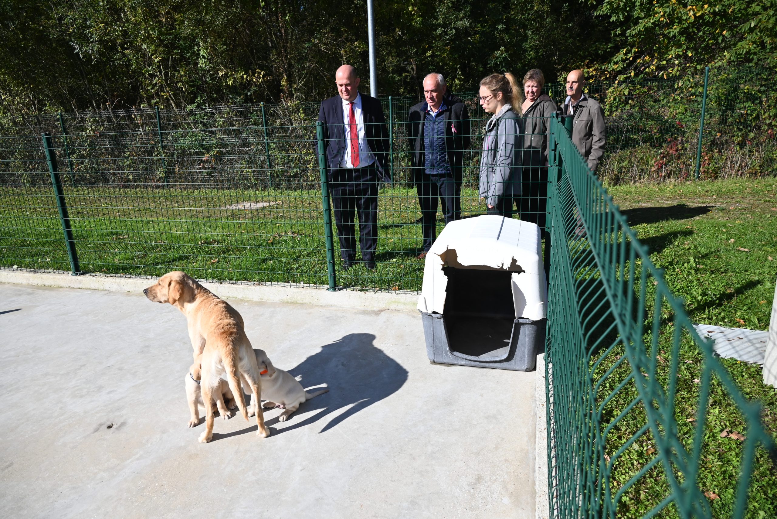 Visite de l'élevage en présence du préfet des Yvelines. 