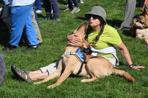 Photo d'une bénéficiaire qui fait un bisous a son chien guide, un labrador beige avec son body 