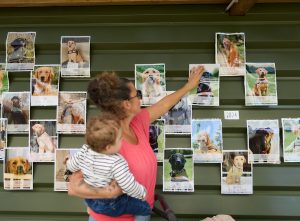 Photo des fresques qui retracent toutes les portées et chien remis a Buc depuis son ouverture 