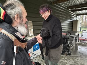 Ambassadeurs et chiots
