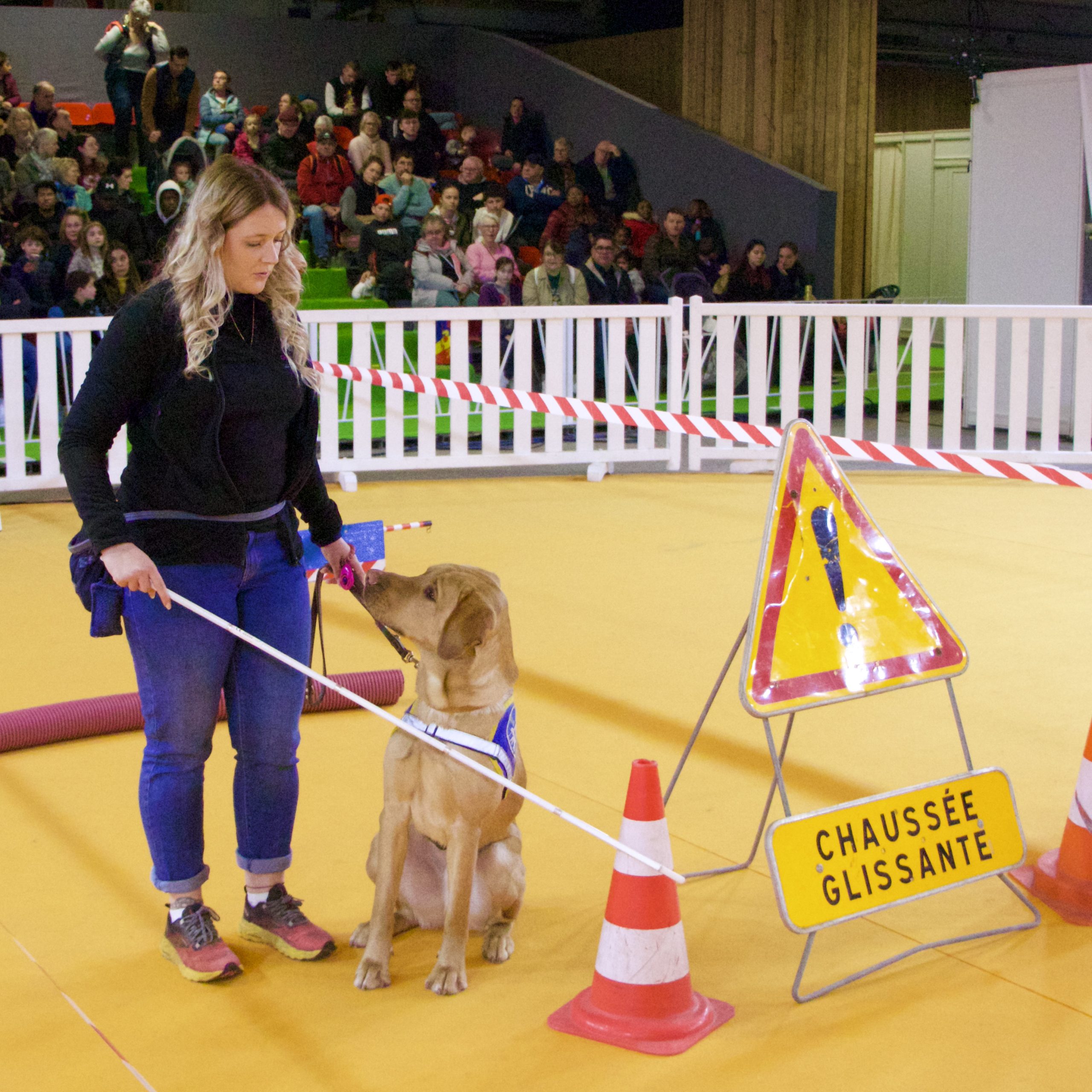 Démonstration de Mélissa, réalisée avec son chien pour l'évitement d'obstacles, au Salon de l'Agriculture