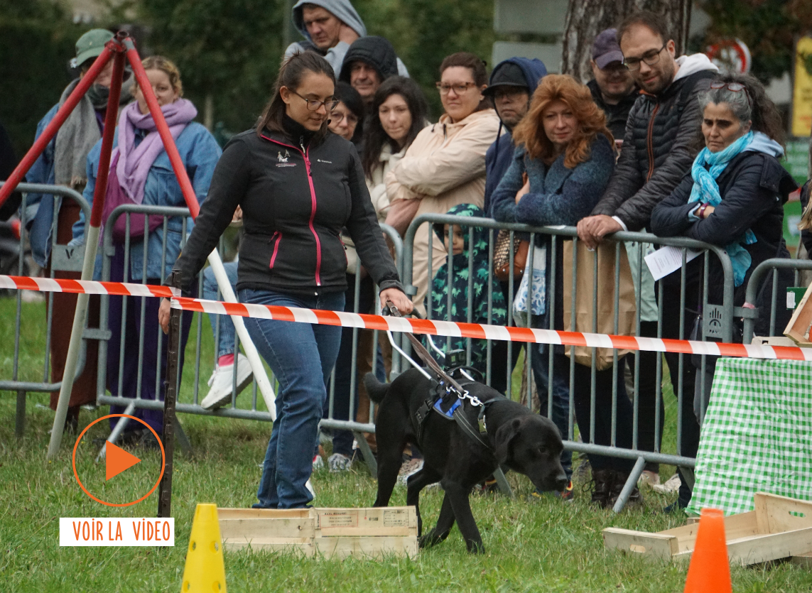 Photo prise lors d'une démonstration pendant la JPO 2024. On y voit une éducatrice guidant son chien, un labrador noir, à travers un parcours. Ce dernier porte un harnais ainsi que sa tenue de travail.
