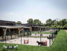 Technicien(ne) élevage à Buc