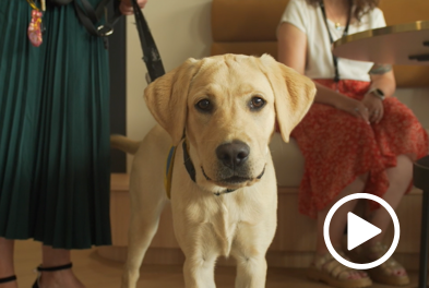 Appy à la banque Palatine