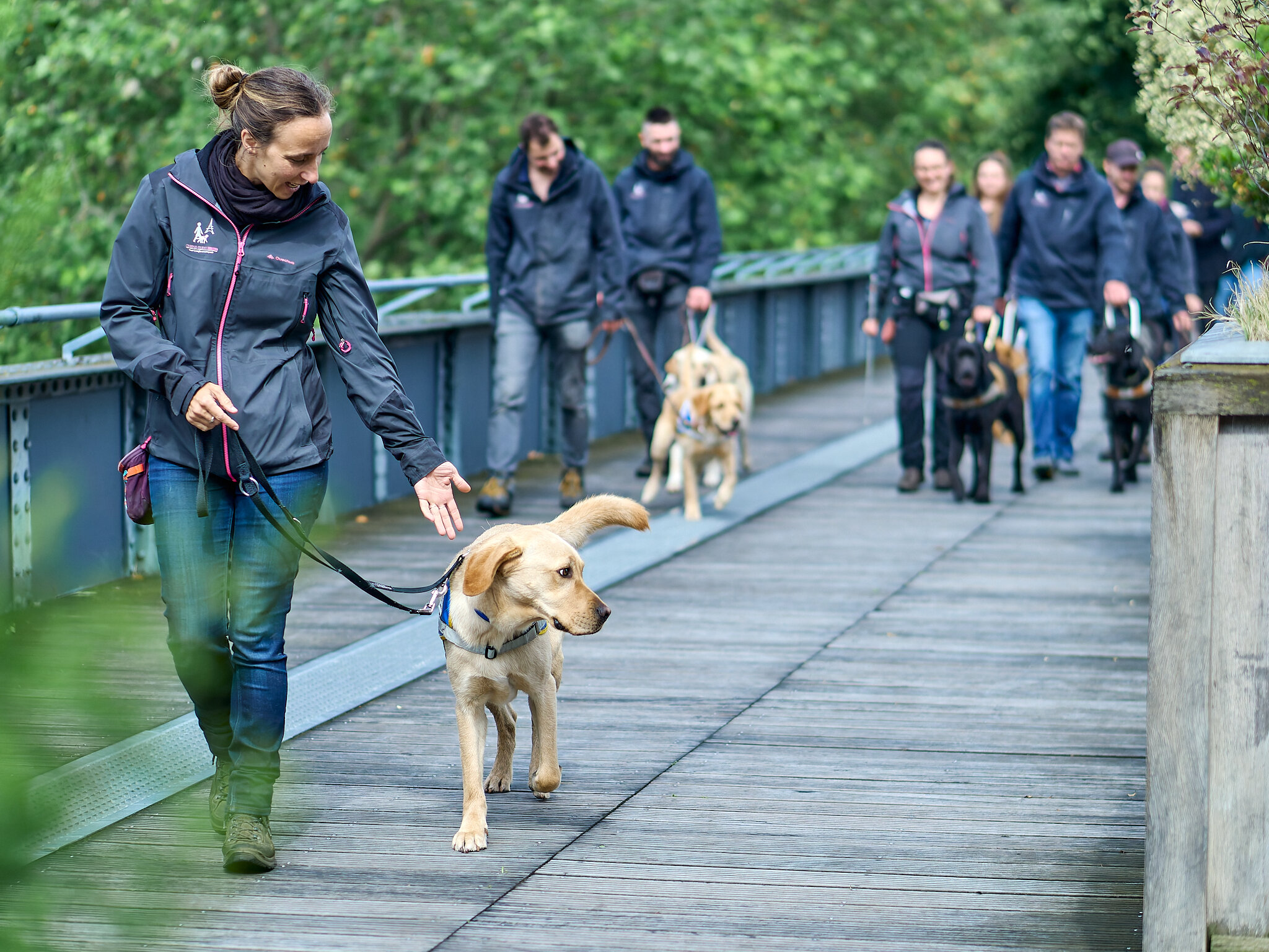 Séance de travail sur la coulée verte