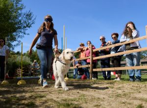 Photo de la démonstration lors des 10 ans de Buc